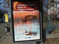 Болгария - Бургас