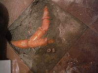 Болгария - Бургас