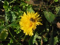 Болгария - Бургас