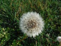 Болгария - Бургас