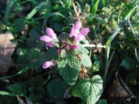 Болгария - Бургас