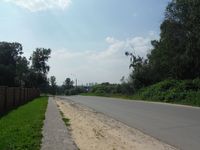 Косинский лесопарк