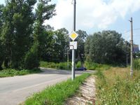 Косинский лесопарк