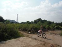 Косинский лесопарк