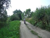 Косинский лесопарк