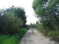 Косинский лесопарк