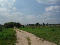 Косинский лесопарк