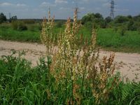 Косинский лесопарк