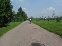 Косинский лесопарк