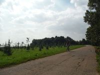 Косинский лесопарк