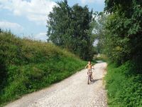 Косинский лесопарк