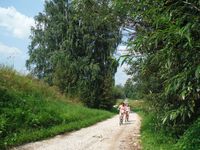 Косинский лесопарк