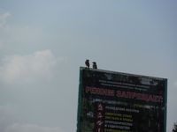 Косинский лесопарк