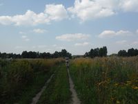 Косинский лесопарк