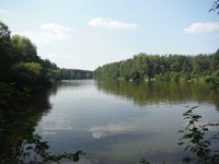 Косинский лесопарк