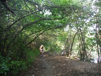 Косинский лесопарк