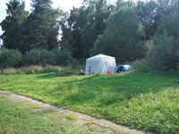 Косинский лесопарк