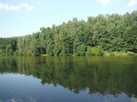 Косинский лесопарк