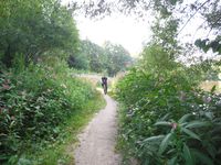 Косинский лесопарк