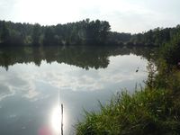 Косинский лесопарк