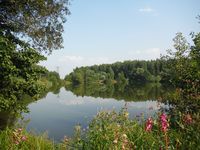 Косинский лесопарк