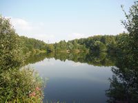 Косинский лесопарк