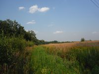 Косинский лесопарк