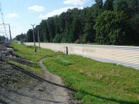 Кучинский лесопарк