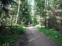 Кучинский лесопарк