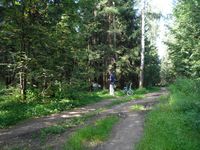 Кучинский лесопарк