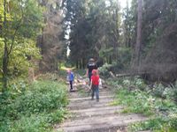 Кучинский лесопарк