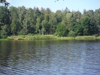 Кучинский лесопарк