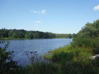 Кучинский лесопарк