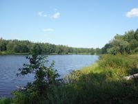 Кучинский лесопарк