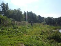 Кучинский лесопарк