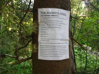 Кучинский лесопарк