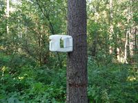 Кучинский лесопарк